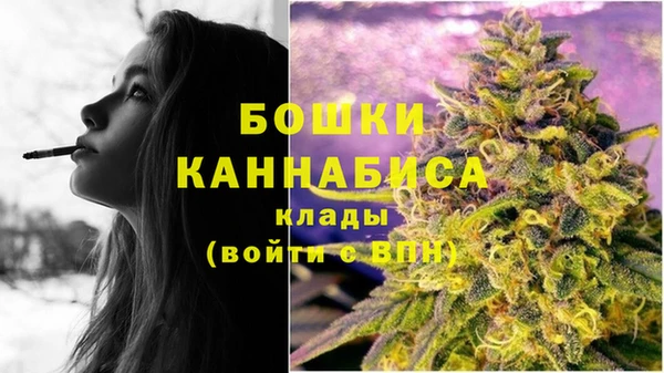 ПСИЛОЦИБИНОВЫЕ ГРИБЫ Магас