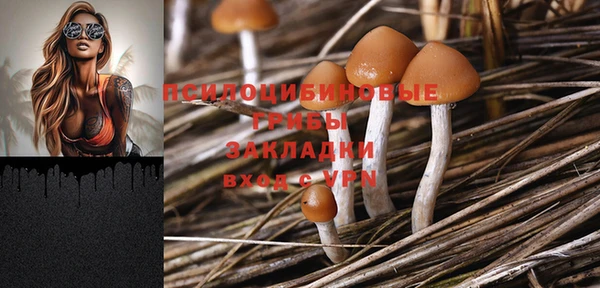 ПСИЛОЦИБИНОВЫЕ ГРИБЫ Магас