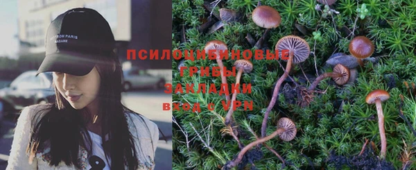 ПСИЛОЦИБИНОВЫЕ ГРИБЫ Магас