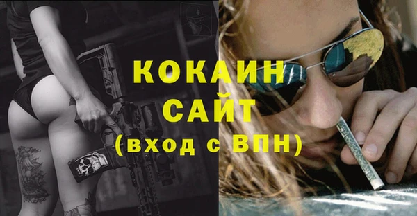 ПСИЛОЦИБИНОВЫЕ ГРИБЫ Магас