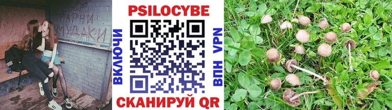 Галлюциногенные грибы Magic Shrooms  Оренбург 