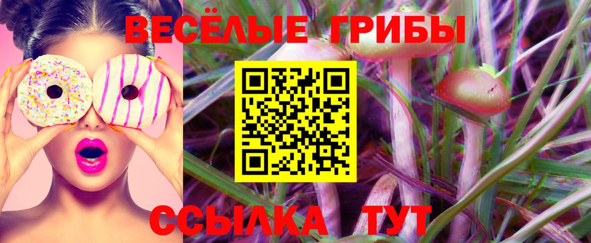 Галлюциногенные грибы Magic Shrooms  Вход с VPN  Галлюциногенные грибы Cubensis  Оренбург 