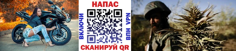 дарк нет какой сайт  мега как войти  Оренбург  Канабис AK-47 